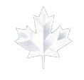 Debt relief consultation for individuals and businesses in Ontario